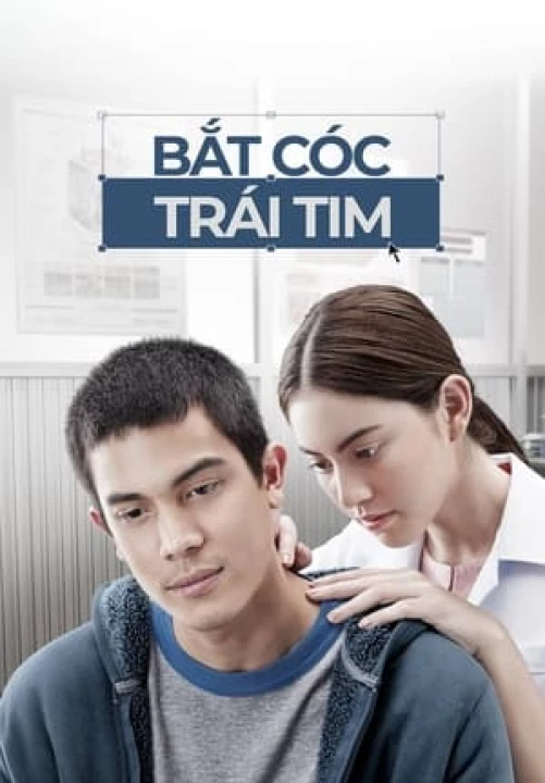 Phim Bắt Cóc Trái Tim 2015 Bắt Cóc Trái Tim 2015