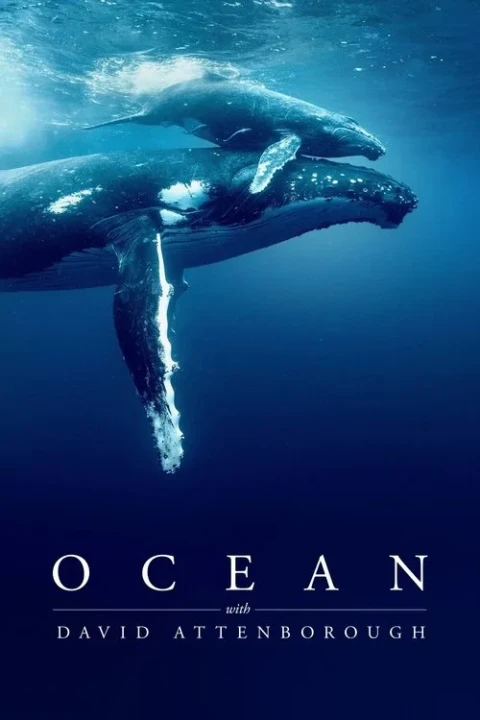 Đại dương cùng David Attenborough 2025