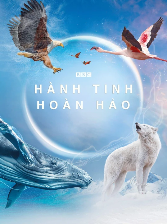 Hành Tinh Hoàn Hảo 2021