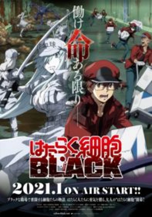 Hataraku Saibou Black 2021