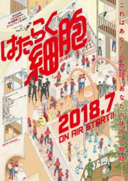 Hataraku Saibou 2018