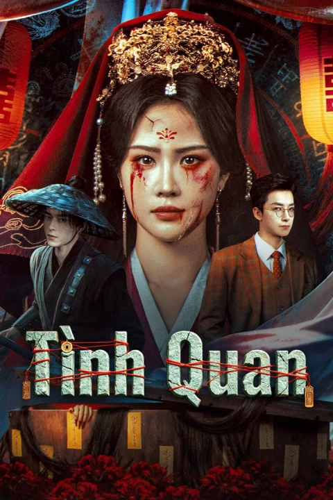 Tình Quan 2026